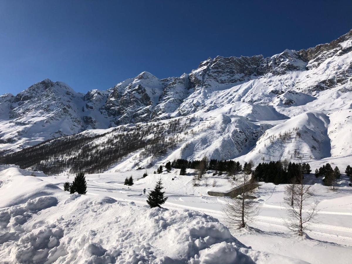 Il Piccolo Rifugio - Casa Valtournenche Apartment Екстериор снимка